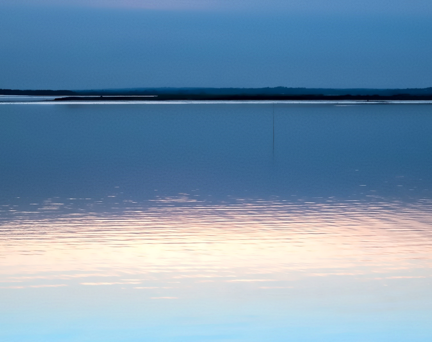 Estuary - Alan Moran